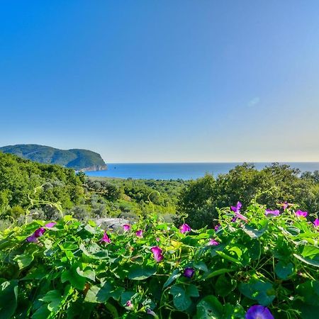 Pataki Studios Petrovac Εξωτερικό φωτογραφία