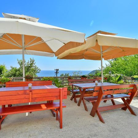 Pataki Studios Petrovac Εξωτερικό φωτογραφία