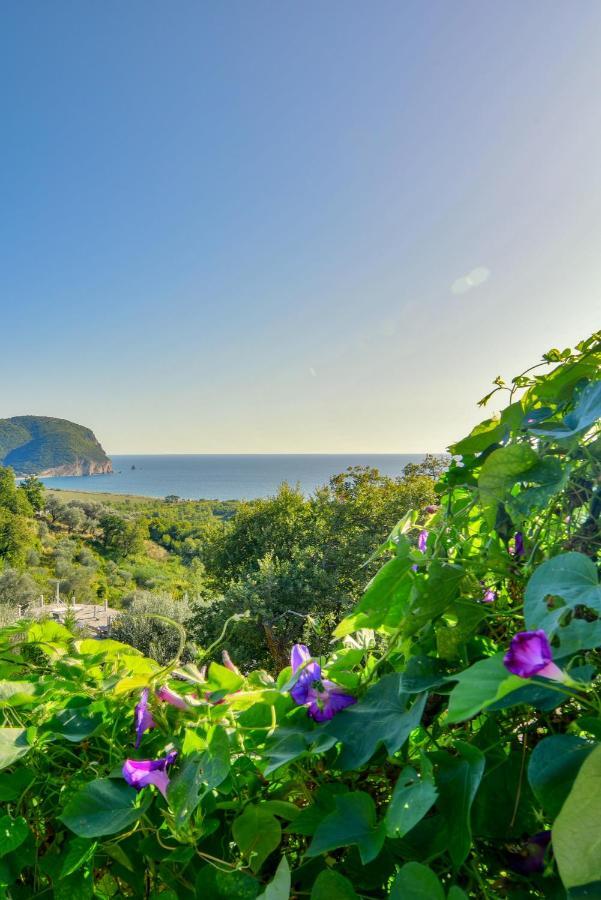 Pataki Studios Petrovac Εξωτερικό φωτογραφία