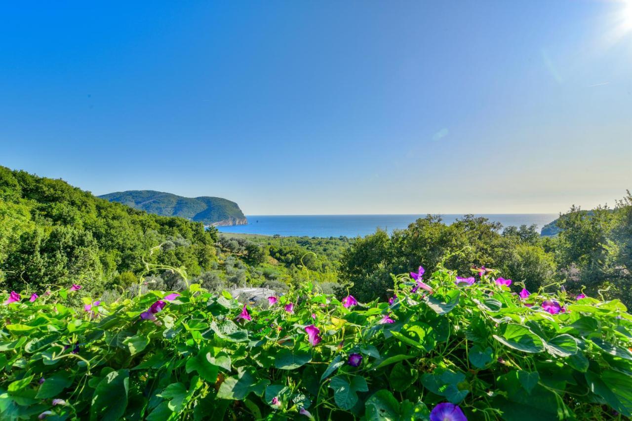 Pataki Studios Petrovac Εξωτερικό φωτογραφία