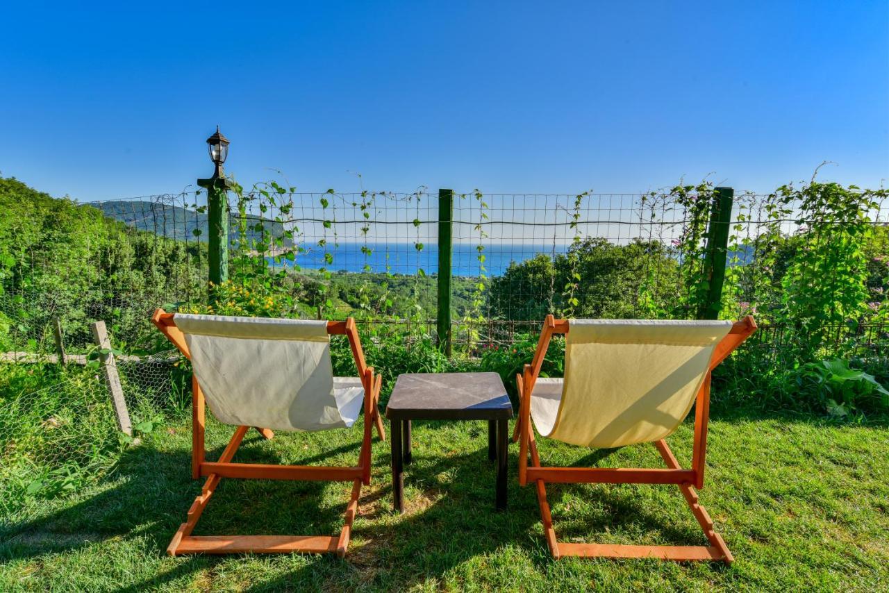 Pataki Studios Petrovac Εξωτερικό φωτογραφία