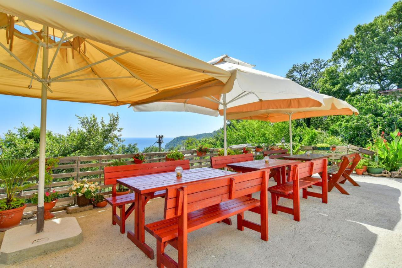 Pataki Studios Petrovac Εξωτερικό φωτογραφία