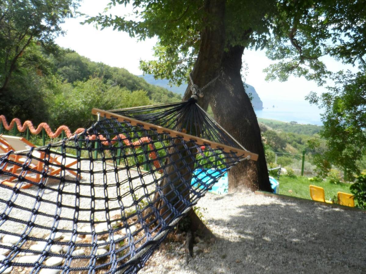 Pataki Studios Petrovac Εξωτερικό φωτογραφία