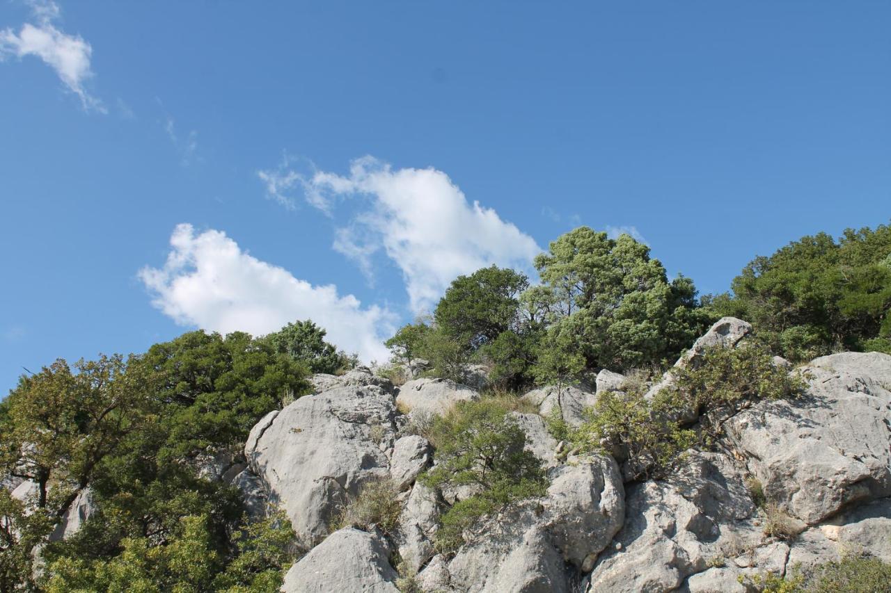Pataki Studios Petrovac Εξωτερικό φωτογραφία