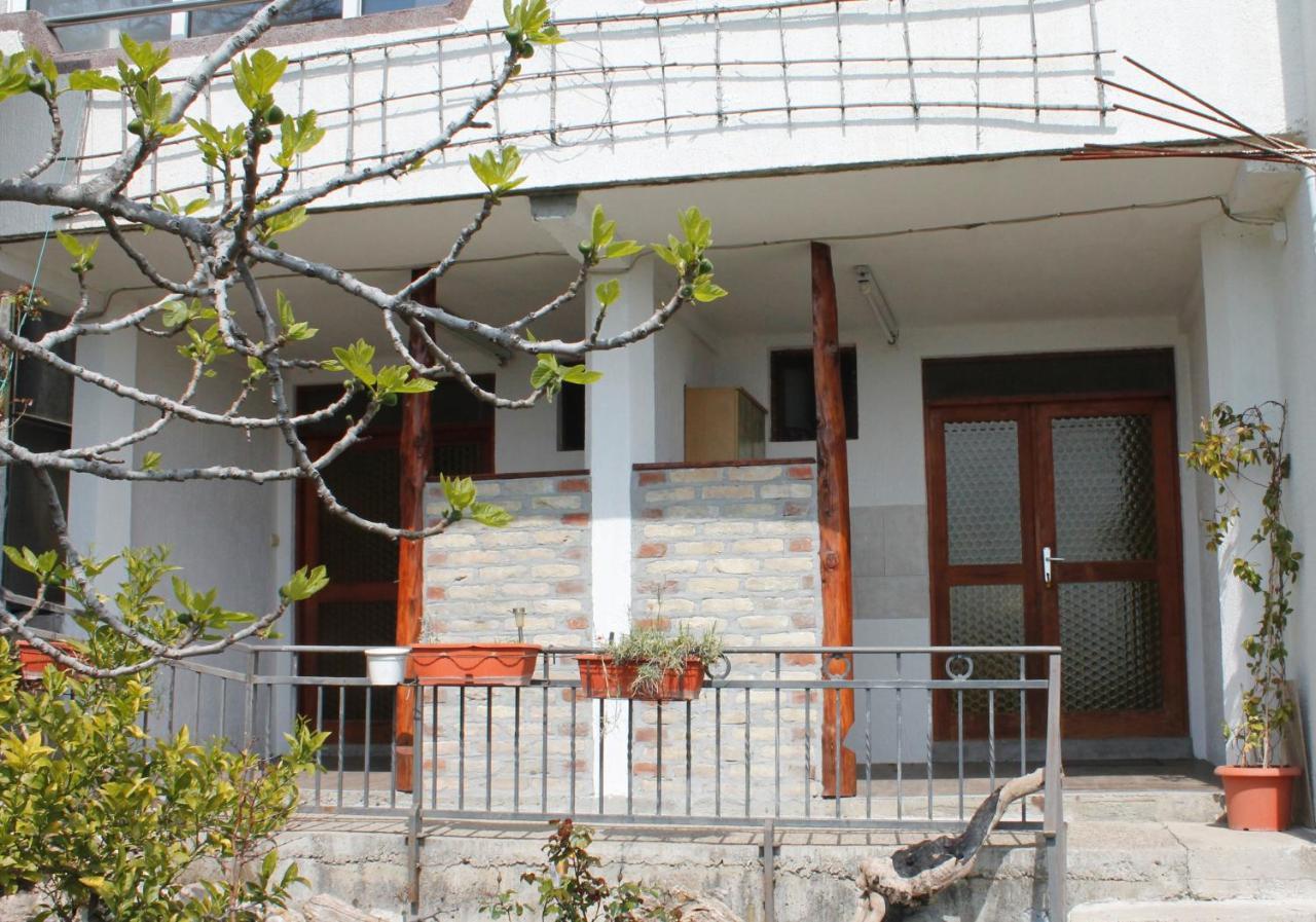 Pataki Studios Petrovac Εξωτερικό φωτογραφία