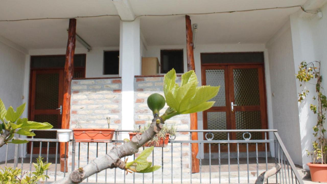 Pataki Studios Petrovac Εξωτερικό φωτογραφία