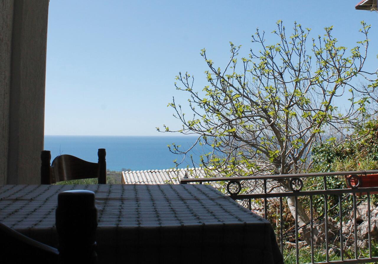 Pataki Studios Petrovac Εξωτερικό φωτογραφία